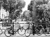 Vélo le long du canal à Utrecht, aux Pays-Bas par Evelien Oerlemans Aperçu