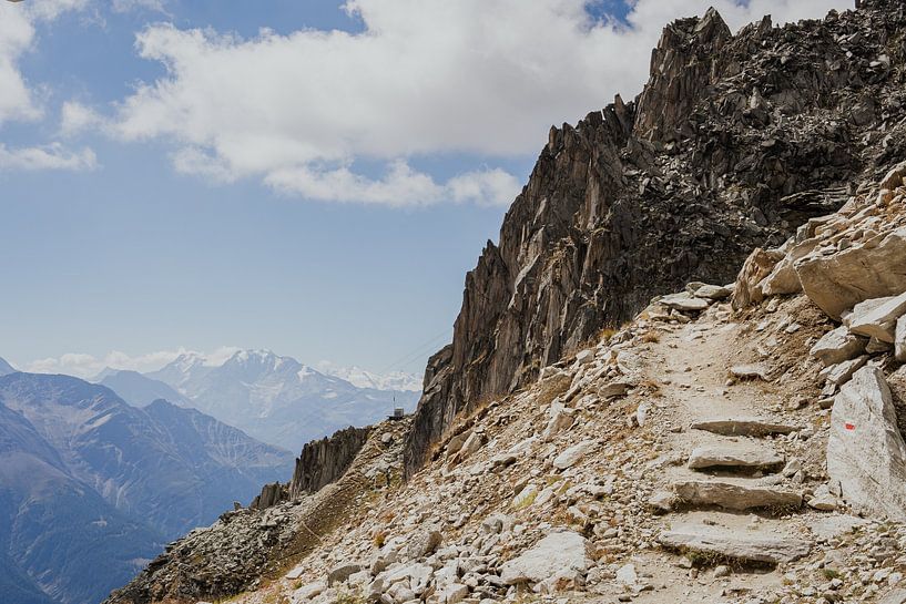 Surroundings Eggishorn by Anneke Vat