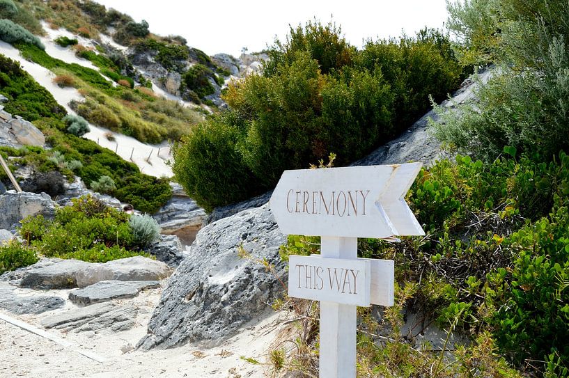 Wedding coming up by Frank's Awesome Travels