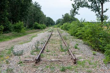 Unfinished Iron Rhine railway line by Richard Wareham