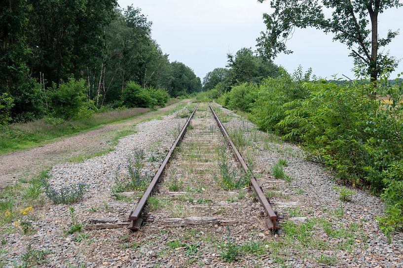 Unfinished Iron Rhine railway line by Richard Wareham