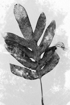 Varenblad in zwart en wit. Moderne botanische kunst in retrostijl van Dina Dankers