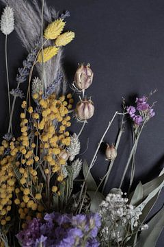 Dark dried flowers by Jim Plaum