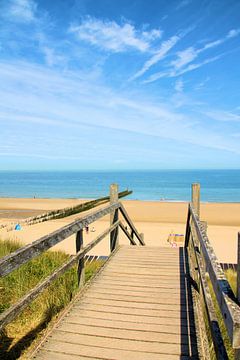Finally at the beach! van Sophia Roelse