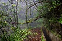 Levada do Furado, Madeira