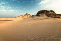 Paysage de dunes de Hollande du Nord