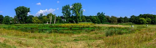 Duits Panorama: Vijver in het Gouden Landschap