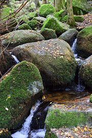 Gebirgsbach Schwarzwald 1.9 von Ingo Laue