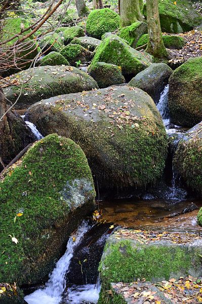 Mountain stream black forest 1.9 by Ingo Laue