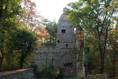 Klosterruine Disibodenberg