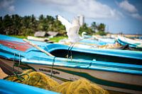 Sri Lanka Coastal Boat and Bird