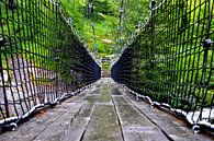 De loopbrug - Grimselpass, Zwitserland van Be More Outdoor thumbnail