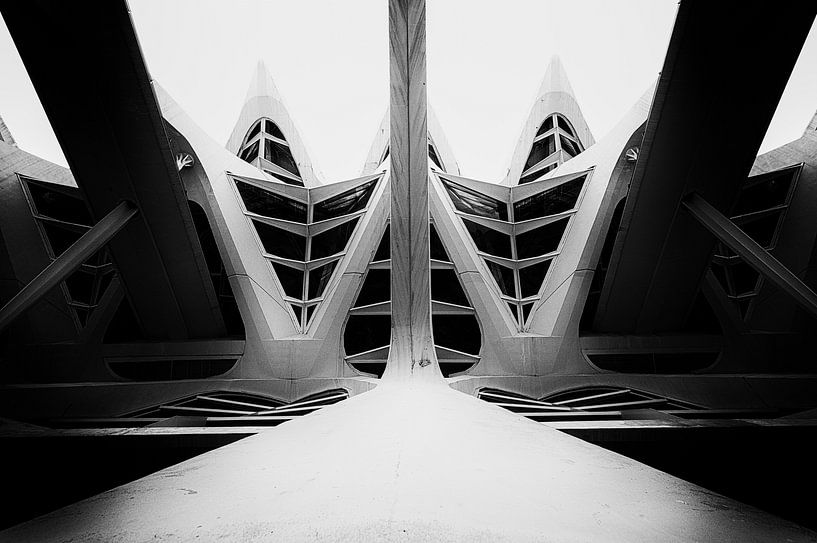 Museum Valencia zwart_wit par Bert Meijer