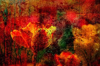 Tulpe Abstrakt