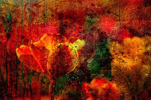 Abstract Tulip