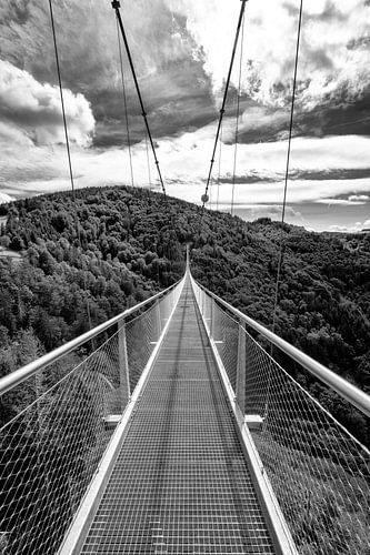 Pont suspendu Blackforestline à Todtnau en Forêt-Noire