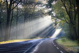 La lumière au bout du chemin