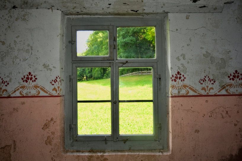 Window view by Claudia Evans