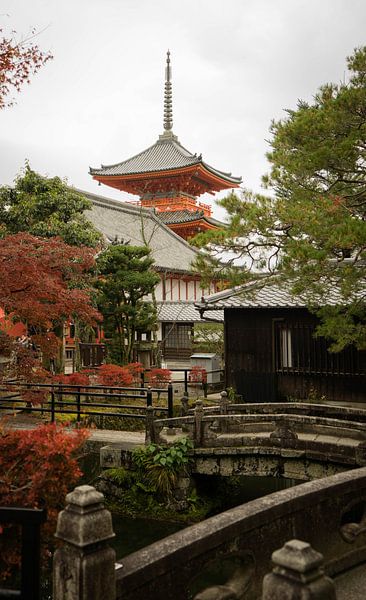 Kyoto by Hello Pompoyo
