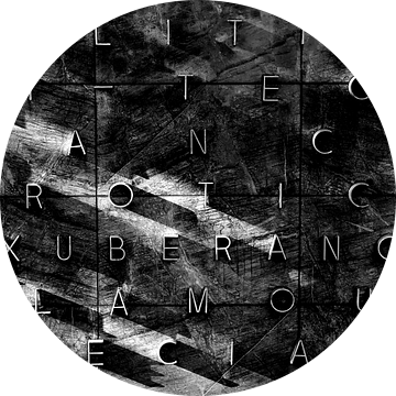 Muur van de video bushalte in Groningen (zwart-wit)