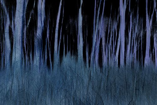 Nächtlicher Wald von Perspective