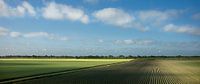 Weite Felder in den frühen Morgenstunden (panorama) von Bo Scheeringa Photography Miniaturansicht