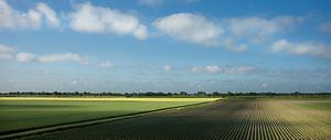 Vastes champs en début de matinée (panorama) sur Bo Scheeringa Photography