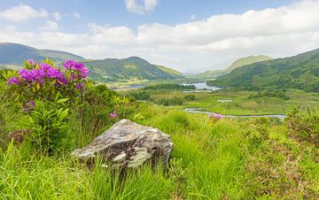 Ladies view - Killarney (Ierland) van Marcel Kerdijk