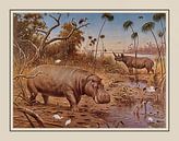 Schoolplate M.A. Koekkoek - "In the region of the Upper Nile" by Anita Meis thumbnail