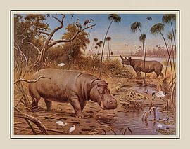 Schoolplate M.A. Koekkoek - "In the region of the Upper Nile"