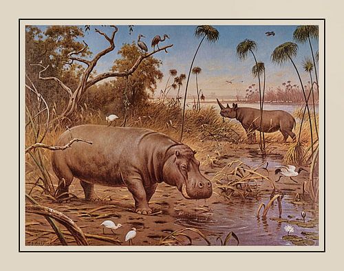 Schoolplate M.A. Koekkoek - "In the region of the Upper Nile"