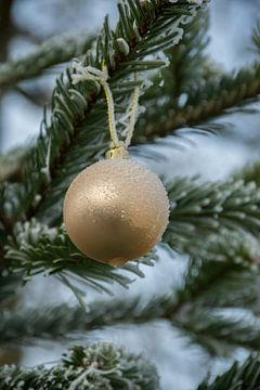 Mooie gouden kerstbal in de kerstboom van Patrick Verhoef