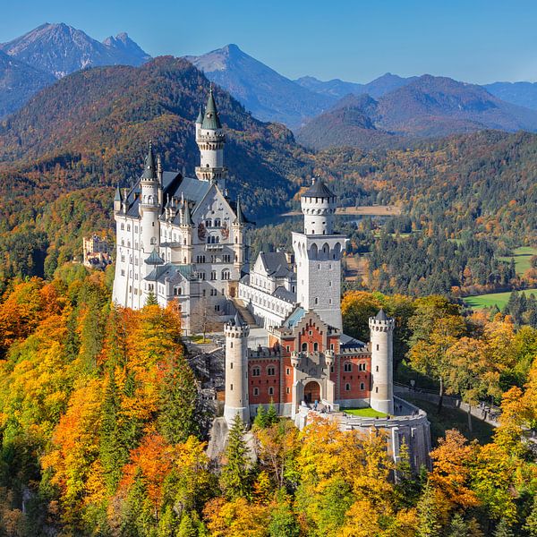 Neuschwanstein Castle in autumn by Markus Lange