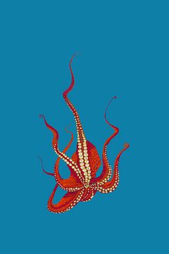 Stitches - Octopus by > VrijFormaat <