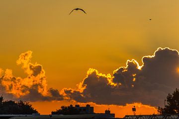 Sonnenaufgang über Ostende