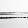 Strand bij Westkapelle van Studio Wanderlove