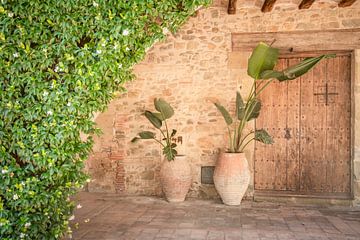 Spanische Tür mit Terrakotta-Vasen von Frans Scherpenisse