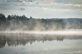 Mystischer Morgennebel über einem spiegelglatten See in Schweden und Waldsilhouette. von Martin Köbsch