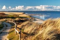 Sylt - pure nature by Dirk Thoms thumbnail