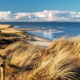 Sylt - pure nature by Dirk Thoms