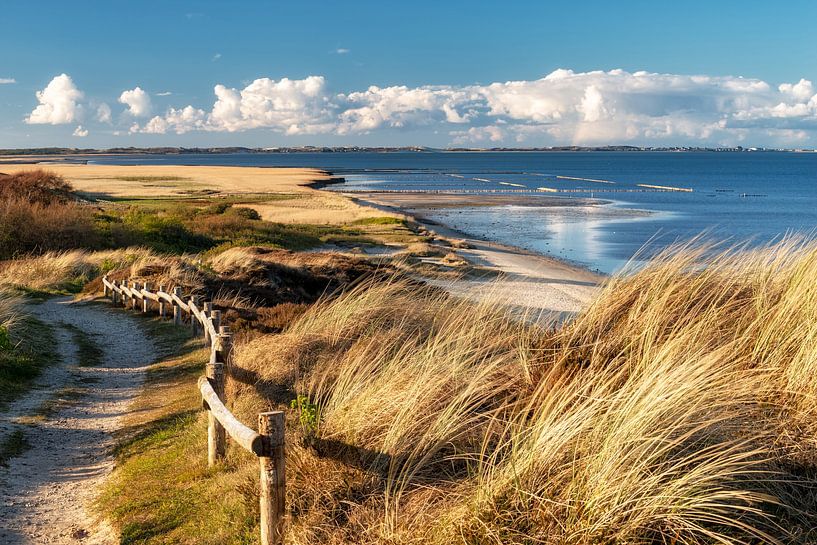 Sylt Natur pur von Dirk Thoms