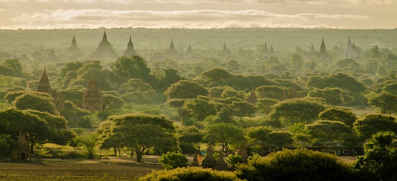 Tempels überall in Bagan, Myanmar von Sven Wildschut