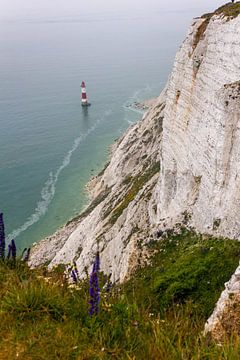 Jurassic Coast