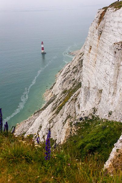 Jurassic Coast by ton vogels