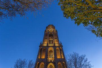 Domtoren Utrecht vanaf het Domplein in de avond - 3 van Tux Photography
