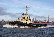 Sleepboot in de haven van IJmuiden. van scheepskijkerhavenfotografie thumbnail