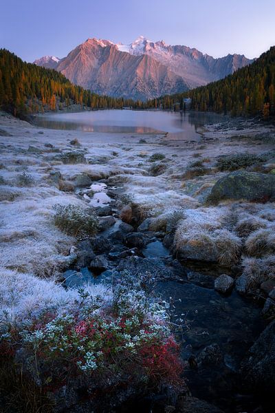A beautiful cold morning with white frost everywhere and the mountains of the Dolomites in the backg by Jos Pannekoek
