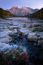 A beautiful cold morning with white frost everywhere and the mountains of the Dolomites in the backg by Jos Pannekoek thumbnail