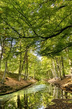 Erinnerungen auf dem Landgut Clingendael