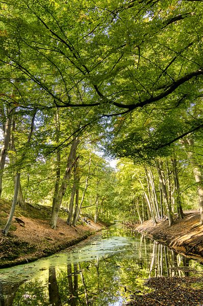 Erinnerungen auf dem Landgut Clingendael von Ellen Weidenaar